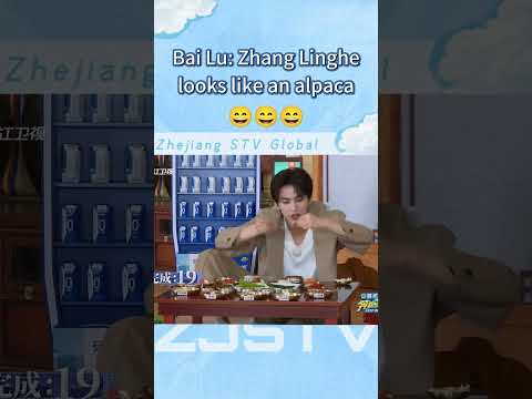 Bai Lu: Zhang Linghe looks like an alpaca😂