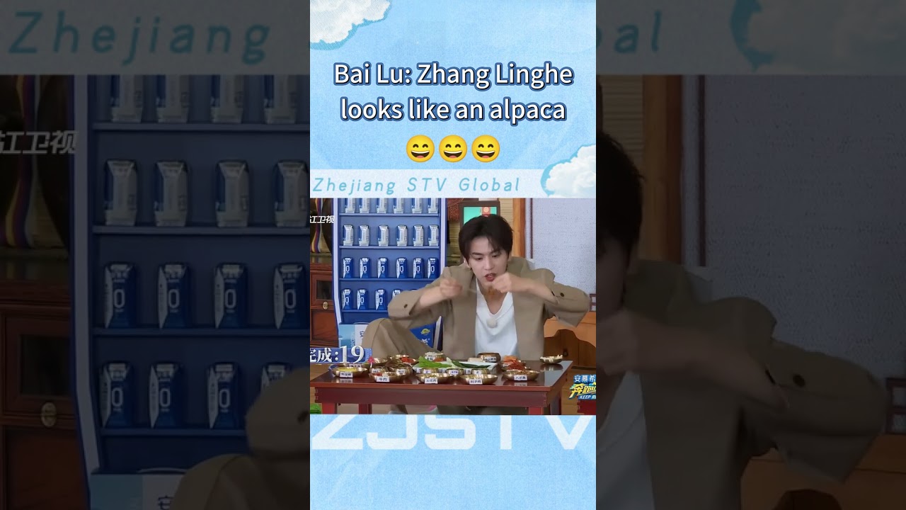Bai Lu Jokes That Zhang Linghe Looks Like an Alpaca 😂