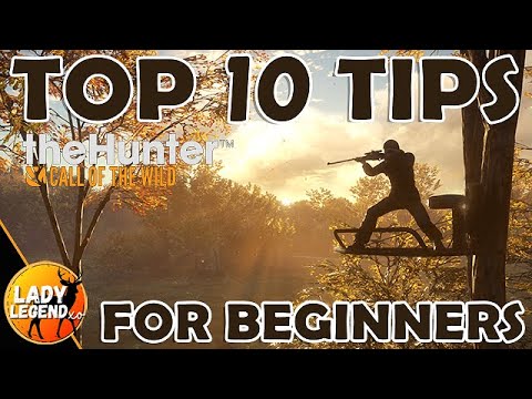 TOP 10 Top 10 Beginner Tips for The Hunter Call of the Wild 2024 🎯