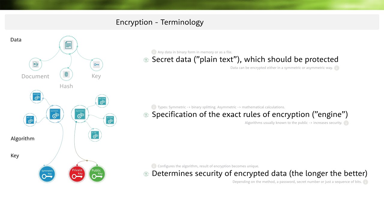 Encryption Explained: Basic Terms You Need to Know π