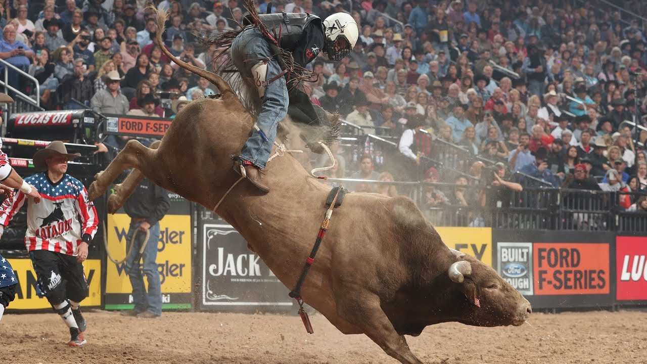 Top 3 Bulls Wrecking Riders in 2019 🤠