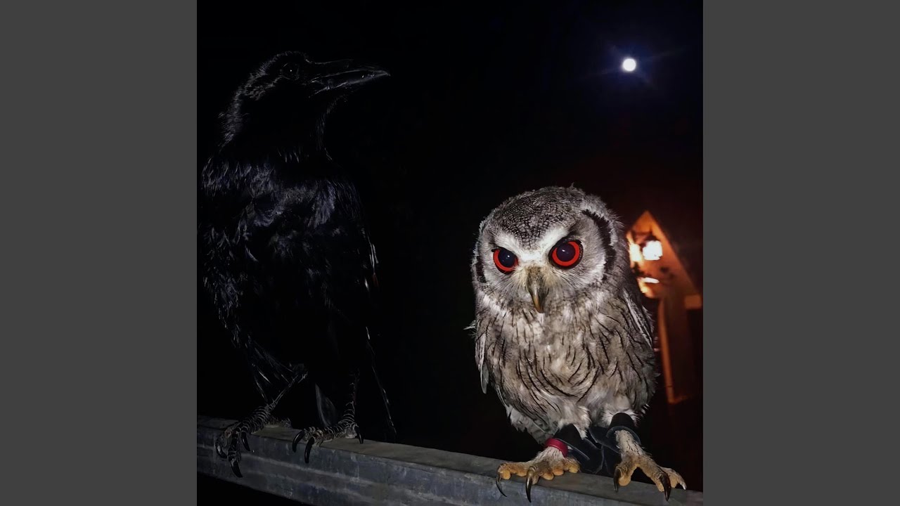 GLAIVE by FEMTOGO & neophron - New Release 🎶