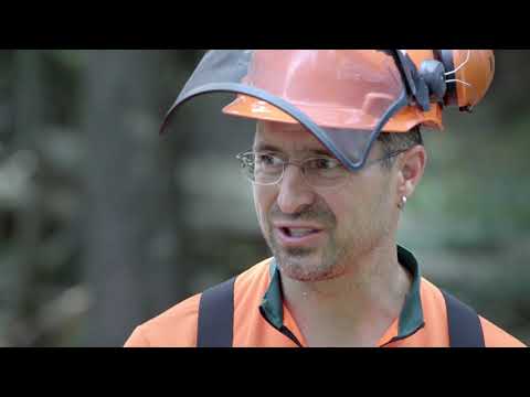 Holzrücken mit Schlepper und Seilwinde | Tutorial der Bayerischen Staatsforsten