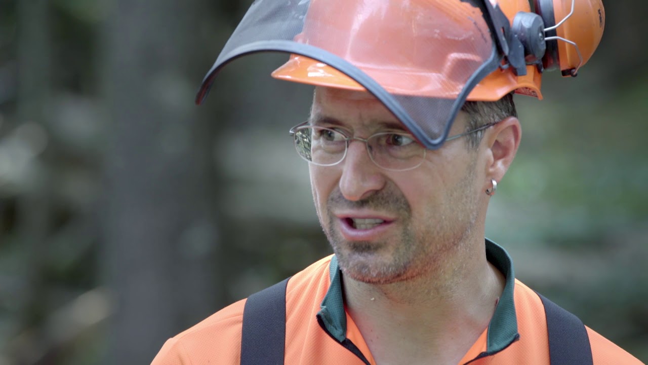 Holzrücken im Wald: Schritt-für-Schritt mit Schlepper & Seilwinde 🚜