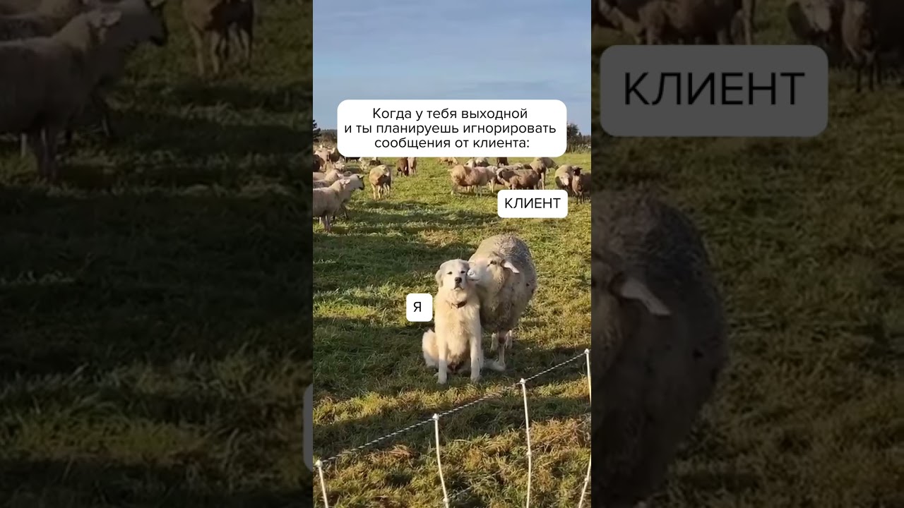 Выходные — время для отдыха, а не работы! 🛑