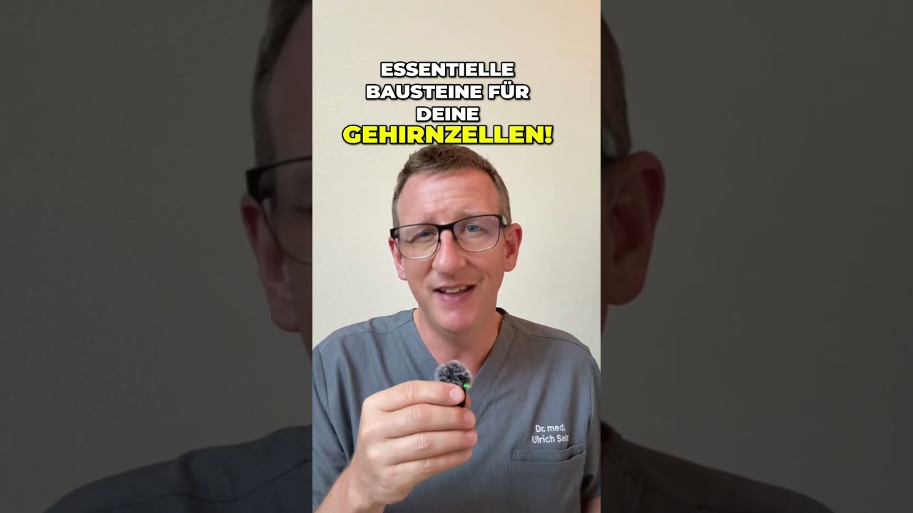 Die 3 Top 3 Lebensmittel für ein starkes Gehirn 🧠