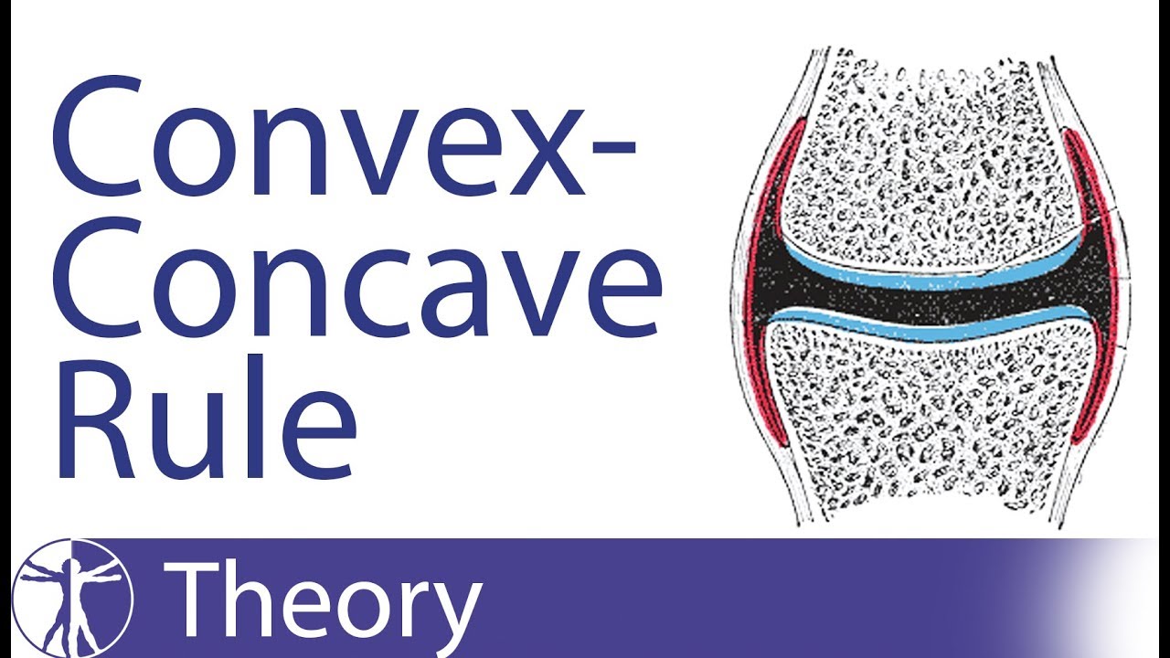 Kaltenborn Concave-Convex Rule