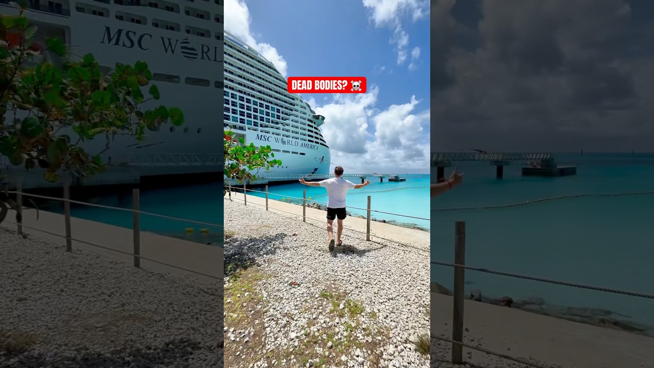 10 INSANE cruise ship facts that will blow your mind 🤯