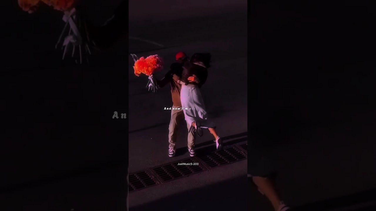 Shape of You - Ed Sheeran | Lyrics & Status 🎶