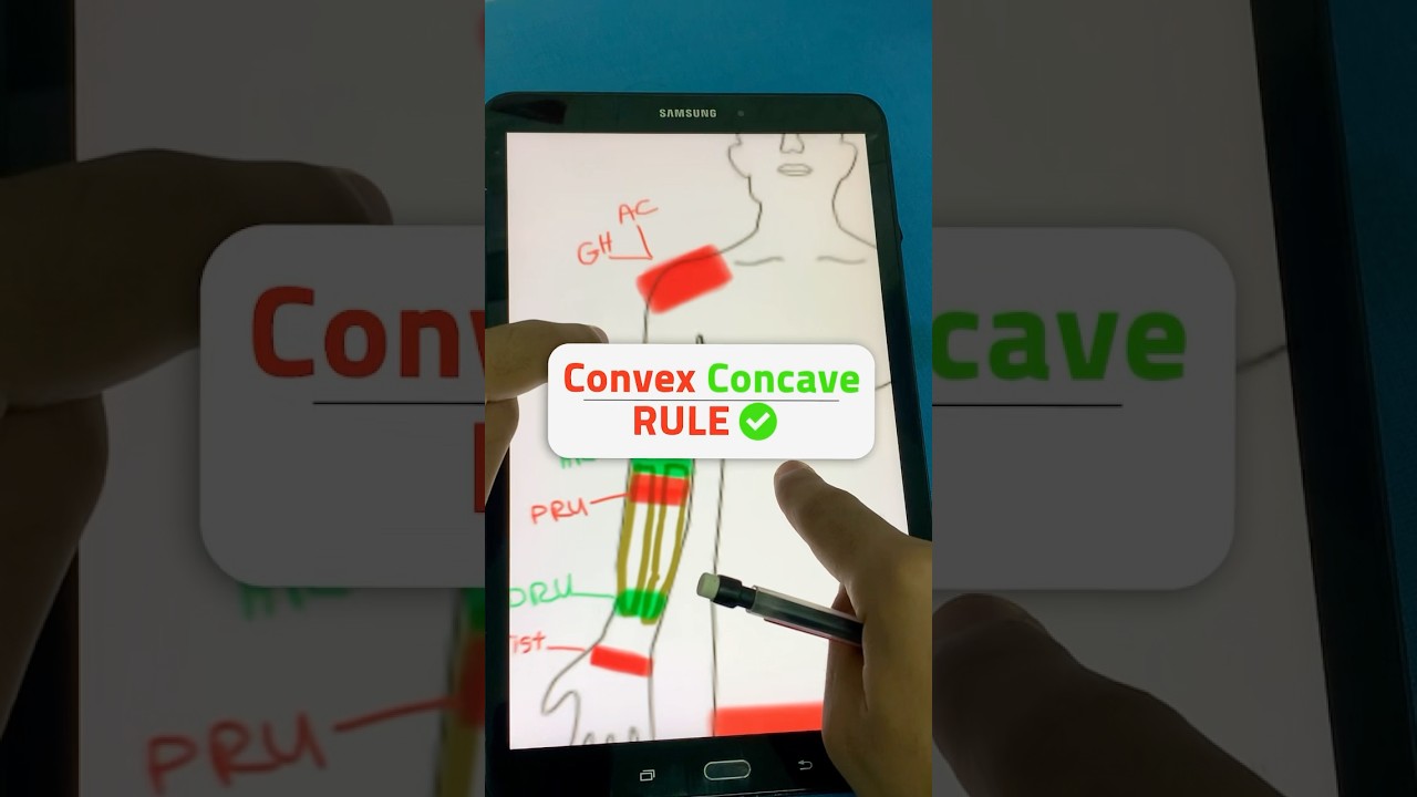 Convex-Concave Rule Explained 🦴