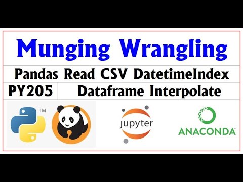 PY205: Pandas Data Wrangling & Munging 🐼