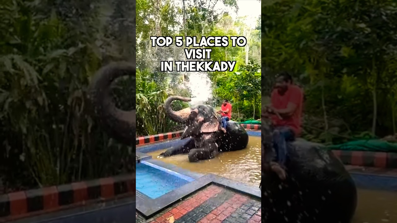 Top 5 Must-Visit Spots in Thekkady 🌿