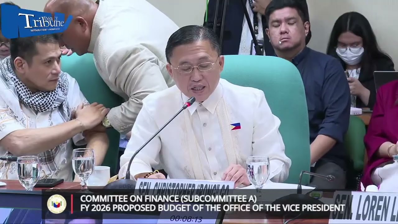 Sara Duterte Discusses FY 2026 OVP Budget with Senate