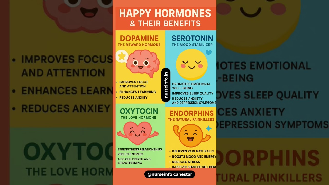 Happy Hormones & Their Benefits 😊
