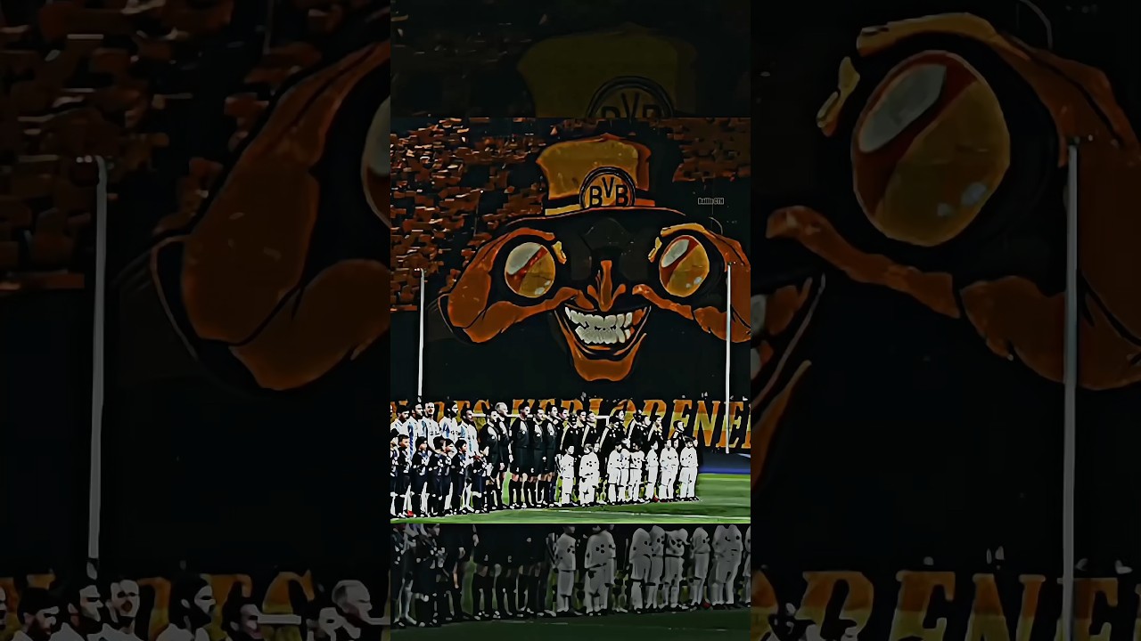 Rare Ultra fans 😎 #shorts #football #viral #bvb