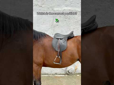 Which is correct? Ctto:clubolimphorse #horse #equestrian #viralshorts #trending #fyp #foryou