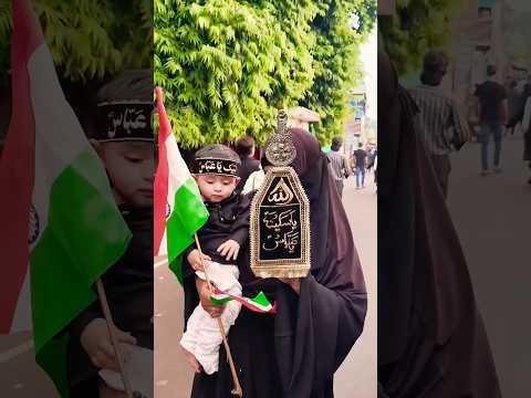 Ali Ali 🙌❤️ #ali #yahussain #muharram #moharram #imamhussain #tajiya #noha #hussain