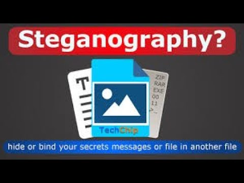 Steganography Practical Demo in Parrot OS | steghide tool for steganography