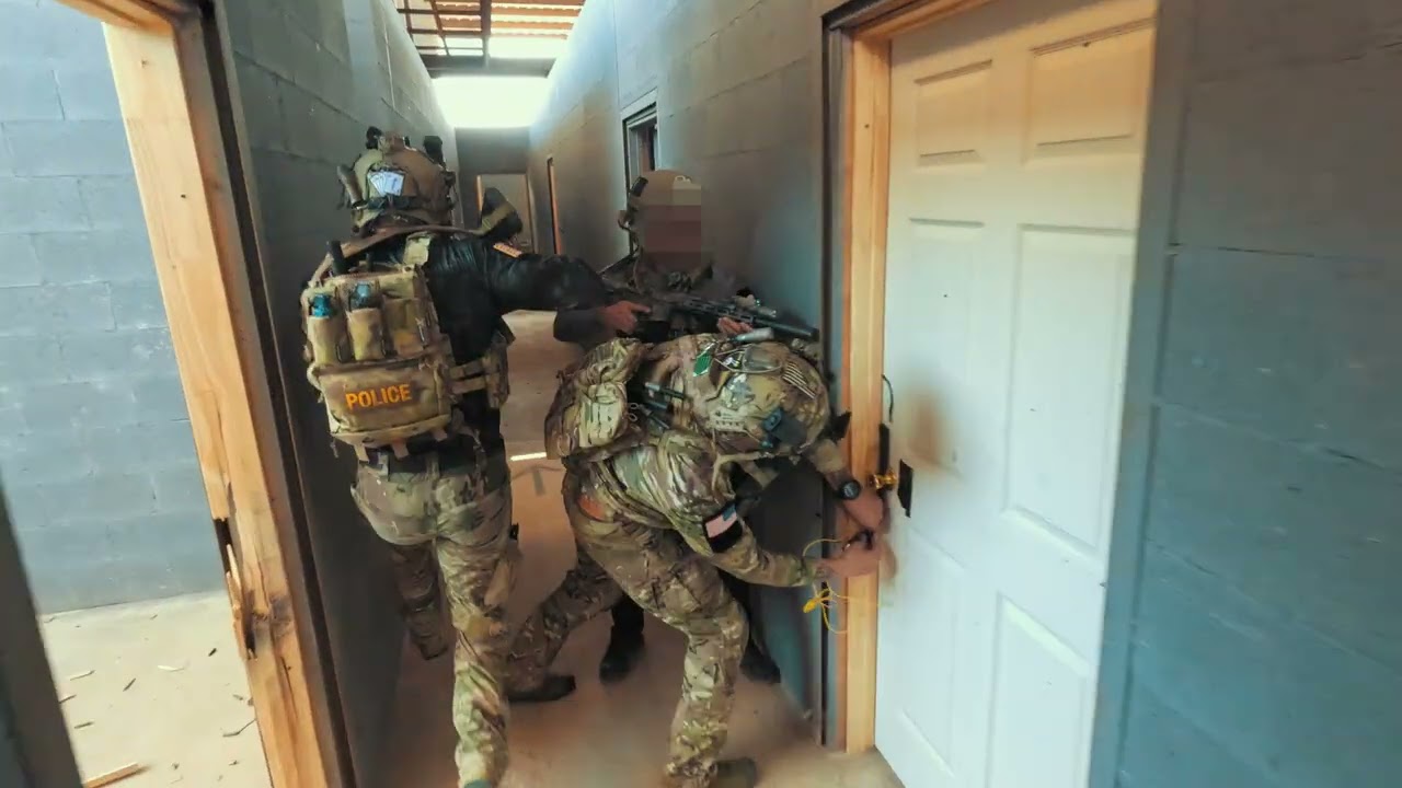 Rats on Acid: High-Level Business Tactics 🐀