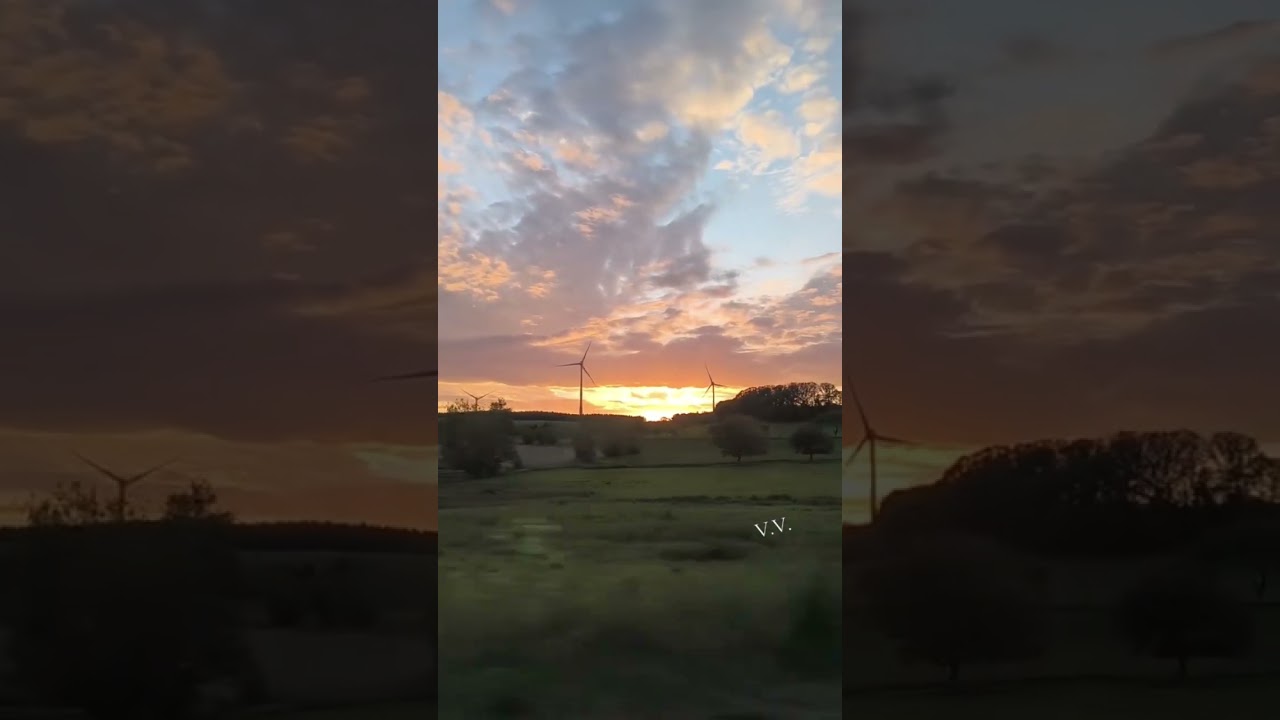 Открой свою Икигай и найди любовь 🌏