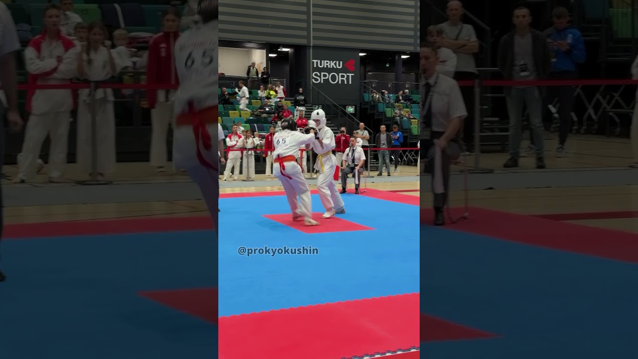 Kyokushin Nordic Cup 2025 in Turku 🇫🇮