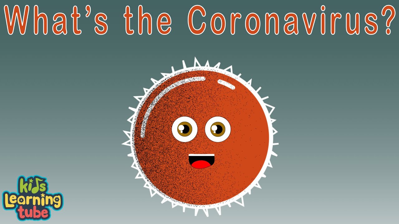 Coronavirus Outbreak Explained 🦠