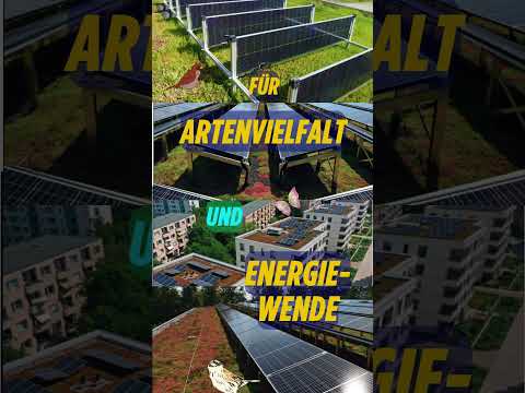 noch 3 Tage bis zur BTW25