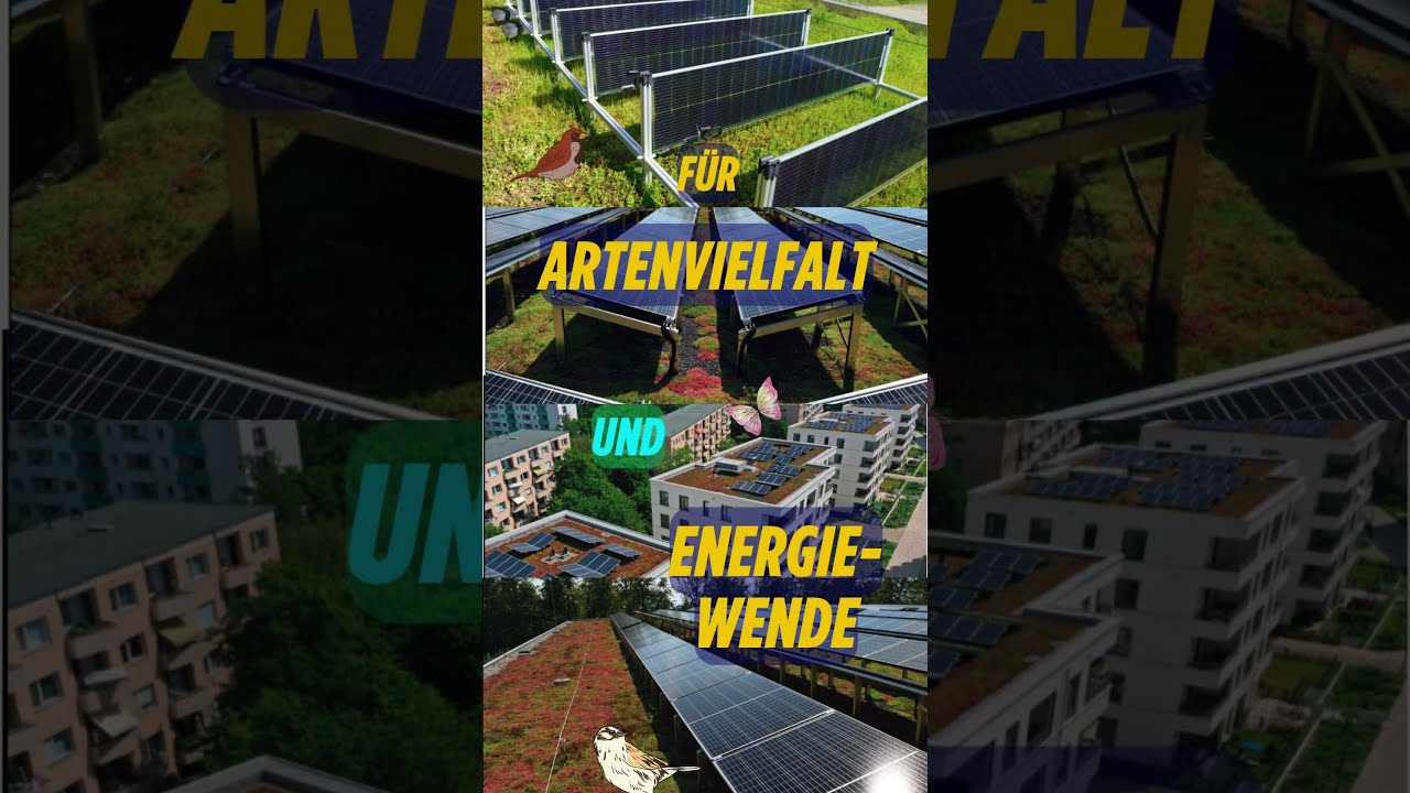 Nur noch 3 Tage bis BTW25: Grüne für Naturschutz 🌿