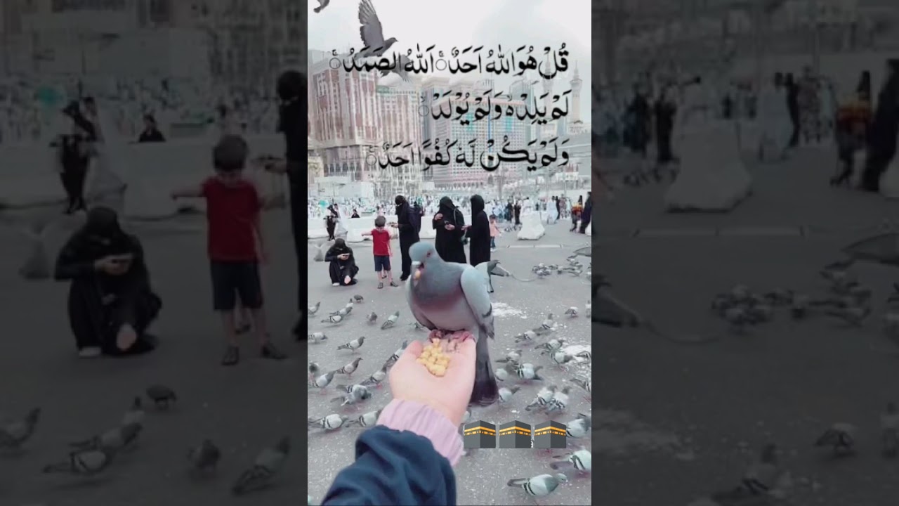 Surah Ikhlas Recitation 🤲