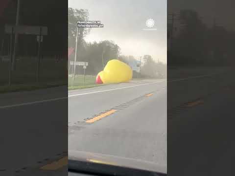 Inflatables Go Airborne in Wild Wind
