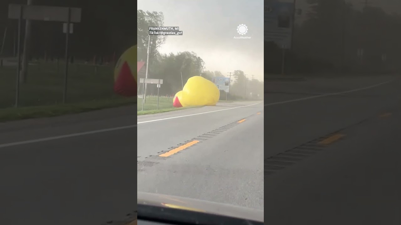 Inflatables Take Flight in Strong Winds 🌬️