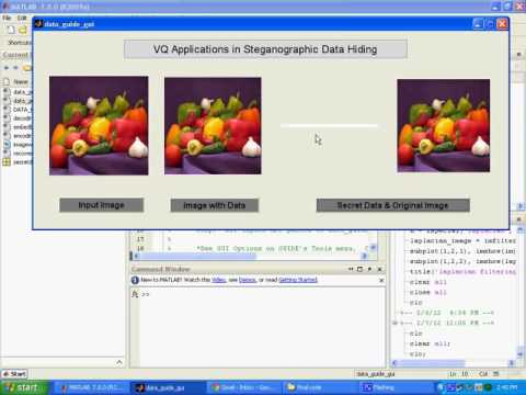 IEEE MATLAB data hiding gui video output