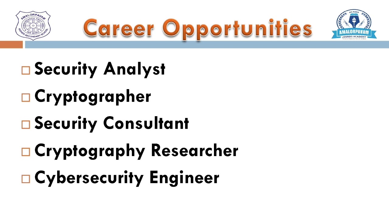 Career Guidance for B.Sc. Graduates in Cryptography