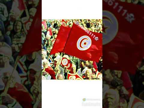 La Tunisie 🇹🇳 flipagram ✅