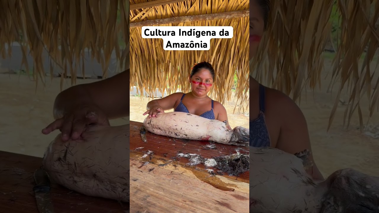 Cultura Indígena da Amazônia 🌿
