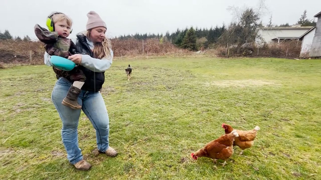 'It's scary': Cowichan farmers outraged by planned zoning changes to limit farms