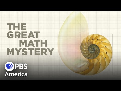 The Great Math Mystery (2015) | Full Documentary | NOVA
