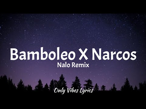 bamboleo x narcos - [Nalo remix] (Lyrics)