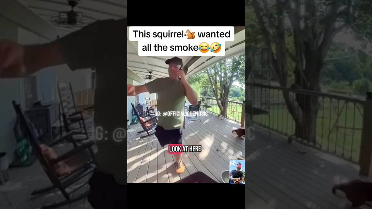 A Dog's Hilarious Encounter with a Squirrel