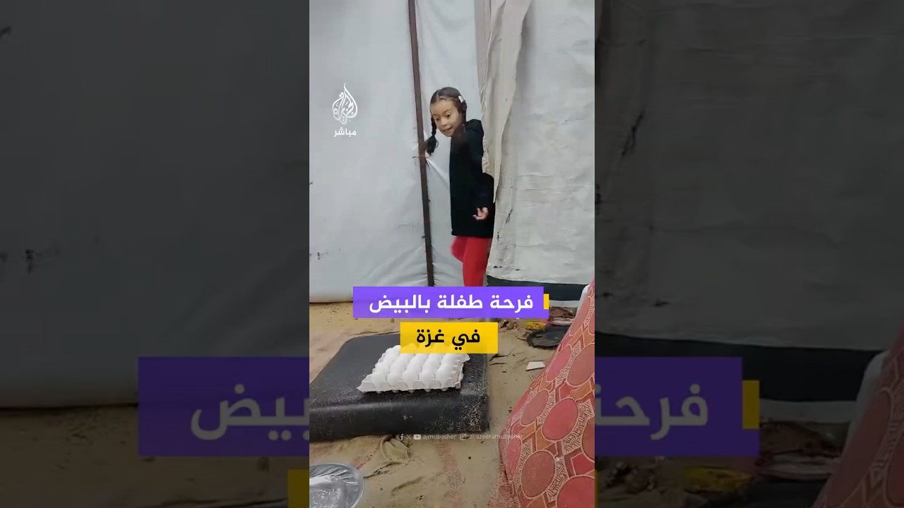 طفلة سعيدة برؤية طبق البيض في غزة 🥚