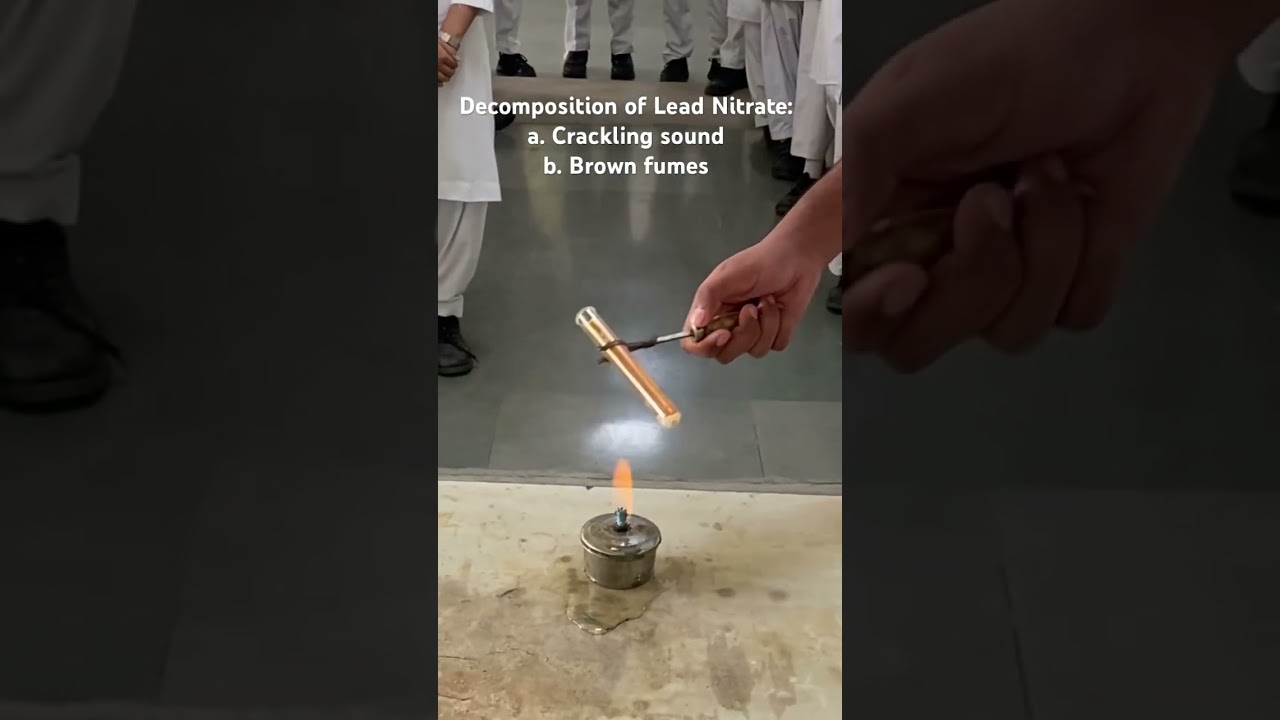 Lead Nitrate Decomposition Reaction 🧪