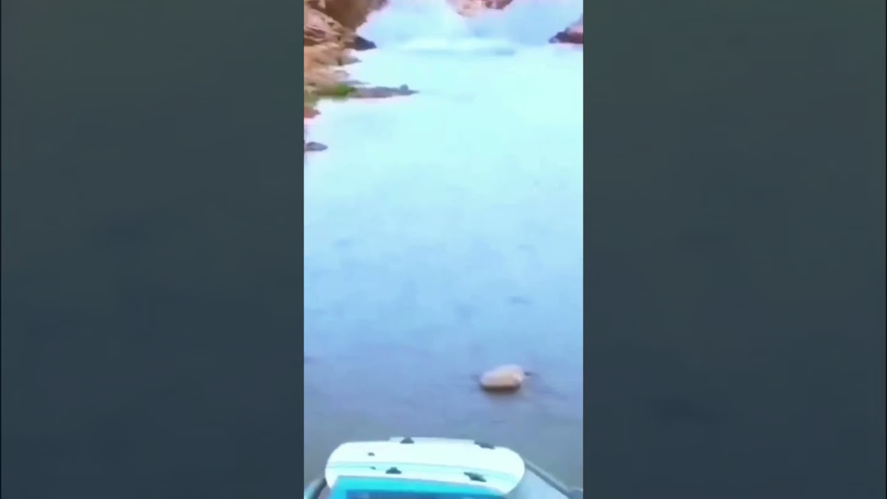 Total Dhamaal Comedy Highlights 😂