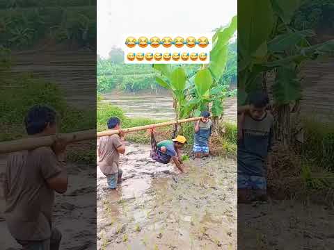 konten hiburan #funnyshort #fypyoutube