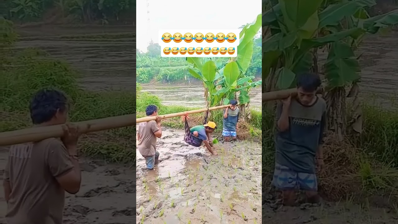 Hilarious Short Clips You Can't Miss! 😂 #funnyshort #fypyoutube