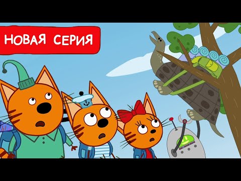 Три Кота | Тайна раскрыта | Мультфильмы для детей 2025 | Новая серия №260