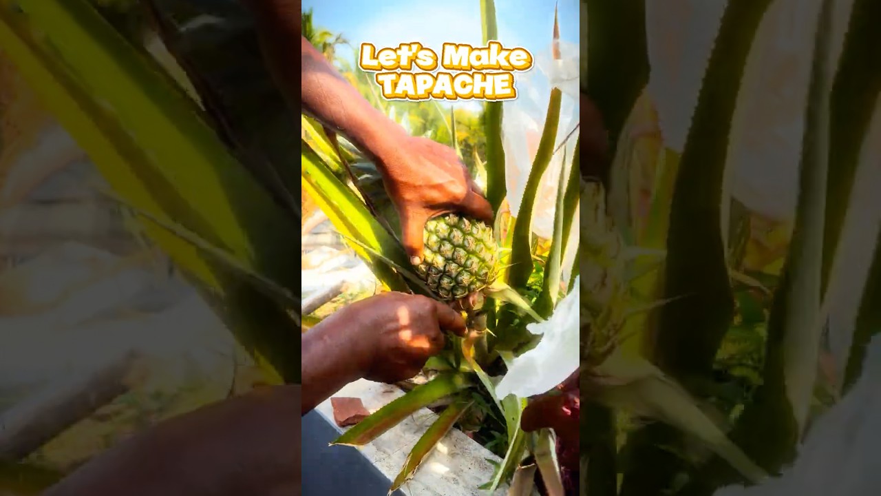 Homemade Pineapple Tapache 🍍 | Fresh & Natural