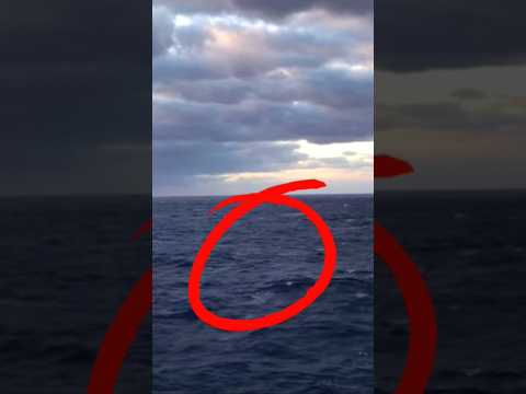Giant Megalodon shark spotted on camera. #megalodon #shark #scary #viral #ocean #shorts #creepy