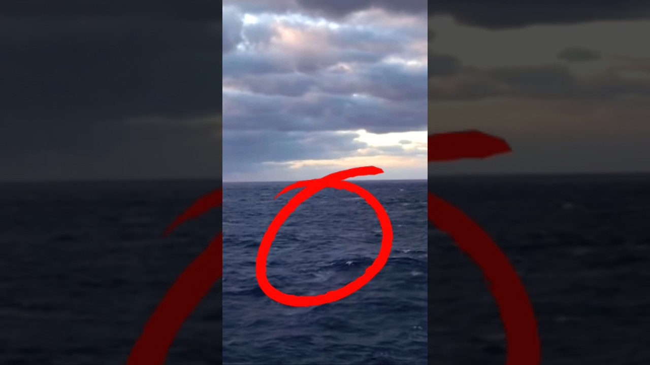 Rare Footage of Megalodon Shark Captured on Camera