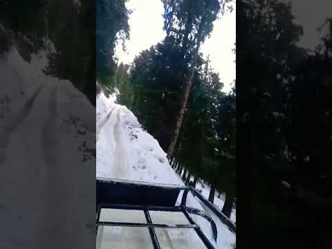 jhoome jo pathan #tseries #oldisgold #song #shorts