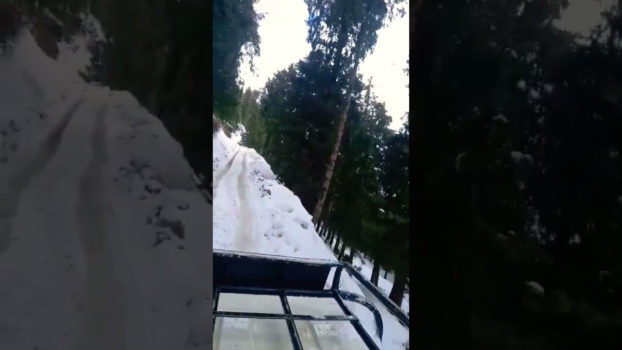 Jhoome Jo Pathan | T-Series | Old is Gold Song | Shorts